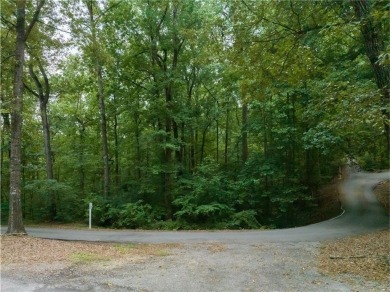 Lake Lot For Sale in Lavonia, Georgia