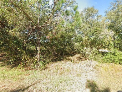 Lake Marion - Polk County Lot For Sale in Kissimmee Florida