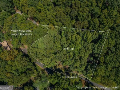 Lake Lot For Sale in Jasper, Georgia