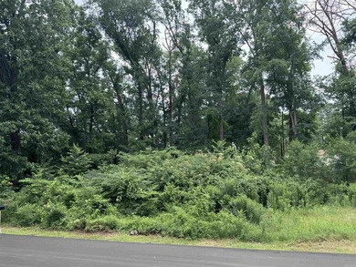 Great opportunity to build your dream home in an established - photo 1