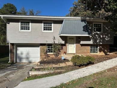 Chickamauga Lake Home For Sale in Chattanooga Tennessee