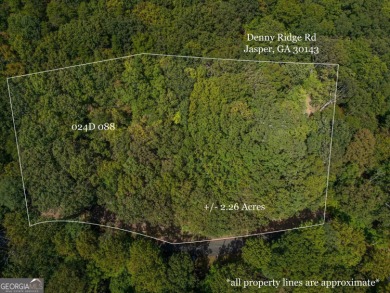 Lake Acreage For Sale in Jasper, Georgia