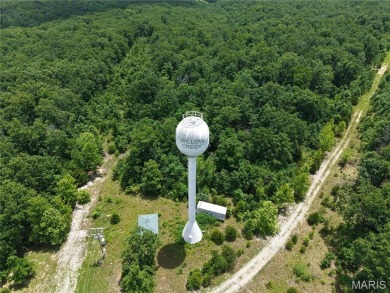 (private lake, pond, creek) Acreage For Sale in Dixon Missouri