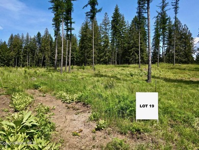 Experience the Idaho Dream with incredible water and mountain - photo 11