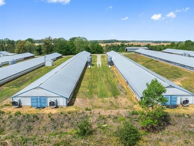 This is a very well-maintained 6-house broiler poultry farm. The - photo 11