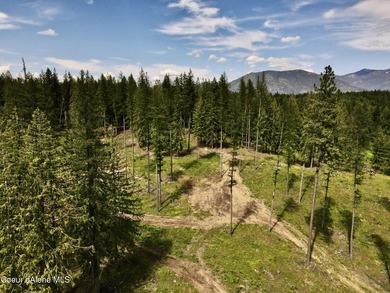 Experience the Idaho Dream with incredible water and mountain - photo 12