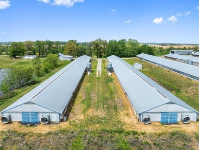 This is a very well-maintained 6-house broiler poultry farm. The - photo 13