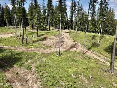 Experience the Idaho Dream with incredible water and mountain - photo 15