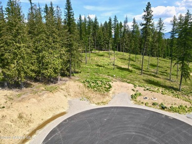 Experience the Idaho Dream with incredible water and mountain - photo 16
