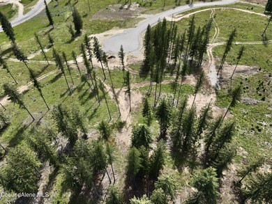 Experience the Idaho Dream with incredible water and mountain - photo 18