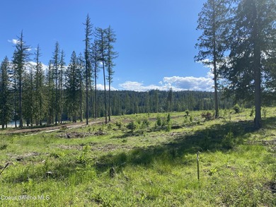 Experience the Idaho Dream with incredible water and mountain - photo 19