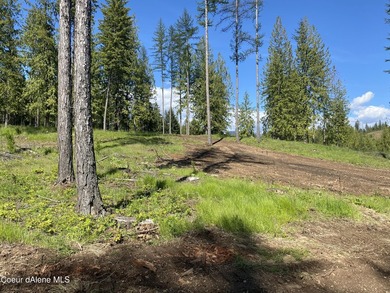 Experience the Idaho Dream with incredible water and mountain - photo 20