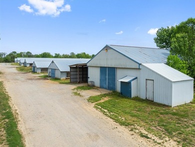 This is a very well-maintained 6-house broiler poultry farm. The - photo 20