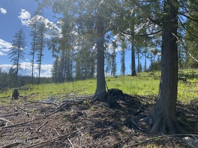 Experience the Idaho Dream with incredible water and mountain - photo 21