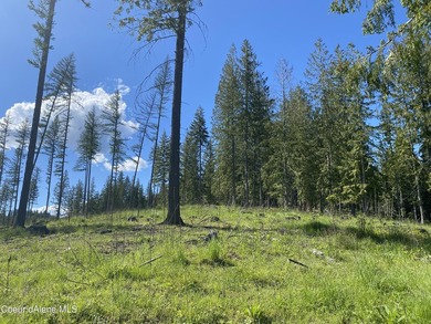 Experience the Idaho Dream with incredible water and mountain - photo 22
