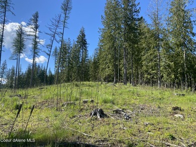 Experience the Idaho Dream with incredible water and mountain - photo 23