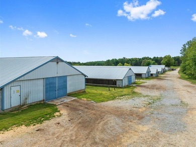 This is a very well-maintained 6-house broiler poultry farm. The - photo 23