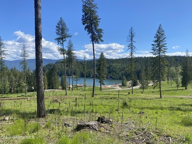 Experience the Idaho Dream with incredible water and mountain - photo 25
