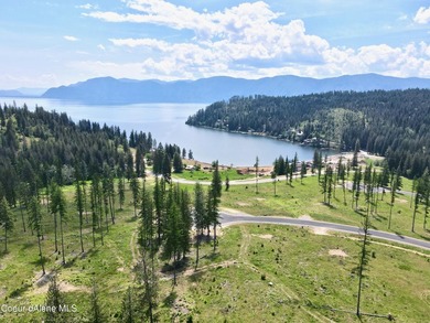 Experience the Idaho Dream with incredible water and mountain - photo 26