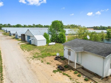 This is a very well-maintained 6-house broiler poultry farm. The - photo 26