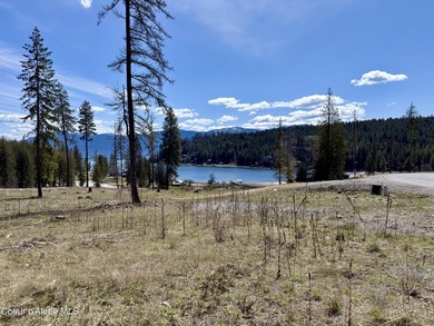 Experience the Idaho Dream with incredible water and mountain - photo 28