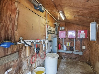 This is a very well-maintained 6-house broiler poultry farm. The - photo 29