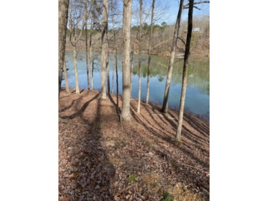 Incredible Lot in New Subdivision, Grandview Shores, Smith Lake - Lake Lot For Sale in Crane Hill, Alabama