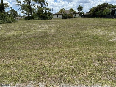 Nice building site in fast growing area! No flood insurance - photo 3