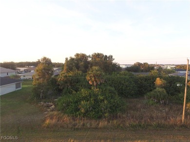 Lehigh Acres Area Lot For Sale in Lehigh Acres Florida