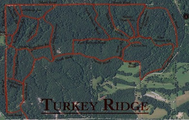 Over 583 acres of hunting paradise, affectionately known as - photo 3