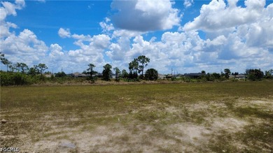 Excellent opportunity to own a triple lot site in the rapidly - photo 4