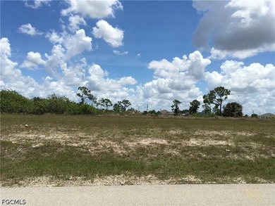 Excellent opportunity to own a triple lot site in the rapidly - photo 5