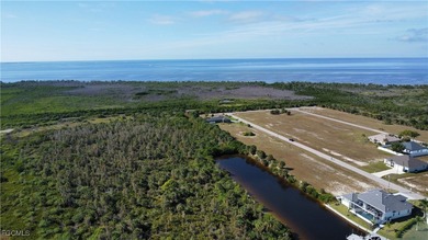 Lake Lot For Sale in Cape Coral, Florida