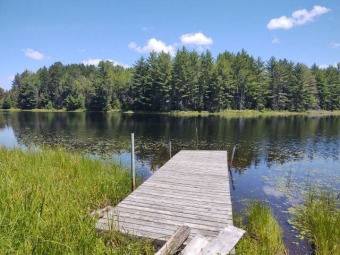 Barchard Lake Acreage For Sale in Sidnaw Michigan