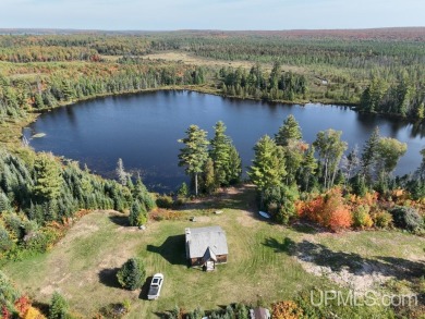 (private lake, pond, creek) Home For Sale in Iron River Michigan