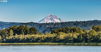 Welcome to Camas View! This safe and private cottage community - photo 22
