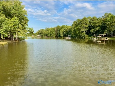 Beautiful building lot with Weiss Lake access common lot with - photo 4