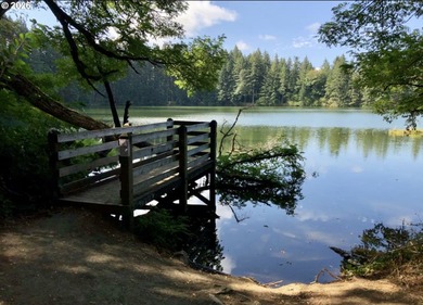Welcome to Camas View! This safe and private cottage community - photo 24