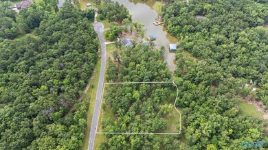 Beautiful building lot with Weiss Lake access common lot with - photo 8