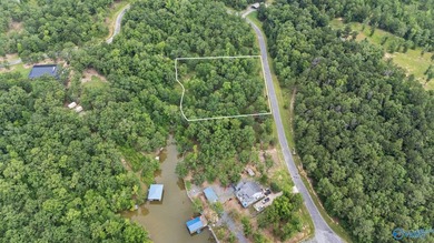 Beautiful building lot with Weiss Lake access common lot with - photo 10