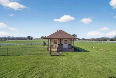 Discover luxury equestrian living in Stallion Lake Ranch - photo 38