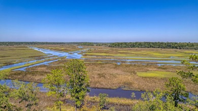 (private lake, pond, creek) Lot For Sale in Ravenel South Carolina