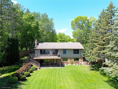 Lake Home For Sale in Annandale, Minnesota