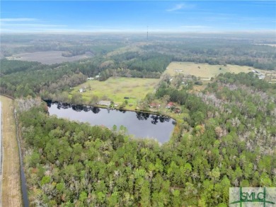 Lake Home For Sale in Pembroke, Georgia