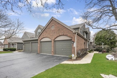 Lake Home For Sale in Naperville, Illinois