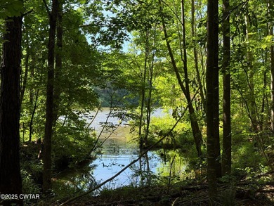 Discover the unmatched potential of this 34-acre wooded paradise - photo 11