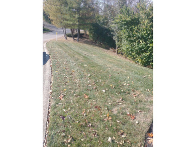 This is a beautiful area to build your dream home. Backs up to a