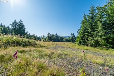 INCREDIBLY RARE FIND! Own a piece of paradise! Buildable 33 - photo 12