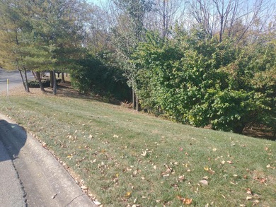 This is a beautiful area to build your dream home. Backs up to a