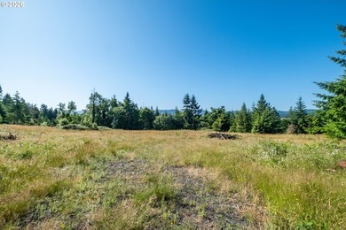 INCREDIBLY RARE FIND! Own a piece of paradise! Buildable 33 - photo 13